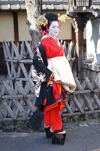 京都 花魁体験